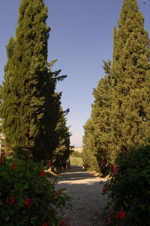 Agriturismo San Francesco Amalia And Anna Orciatico Zewnętrze zdjęcie