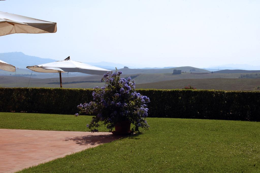 Agriturismo San Francesco Amalia And Anna Orciatico Zewnętrze zdjęcie
