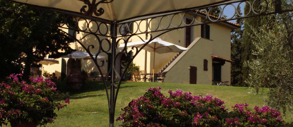 Agriturismo San Francesco Amalia And Anna Orciatico Zewnętrze zdjęcie